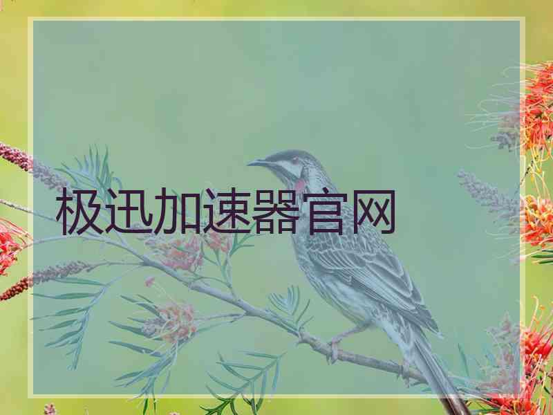 极迅加速器官网
