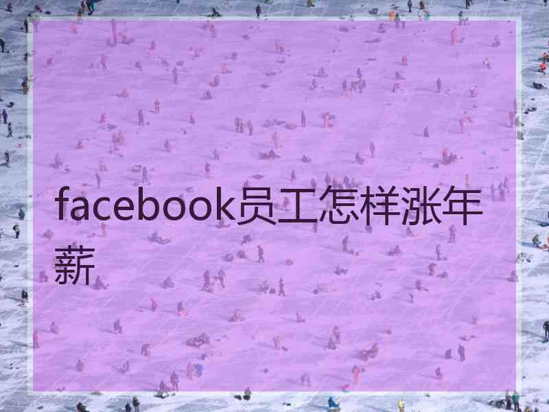 facebook员工怎样涨年薪