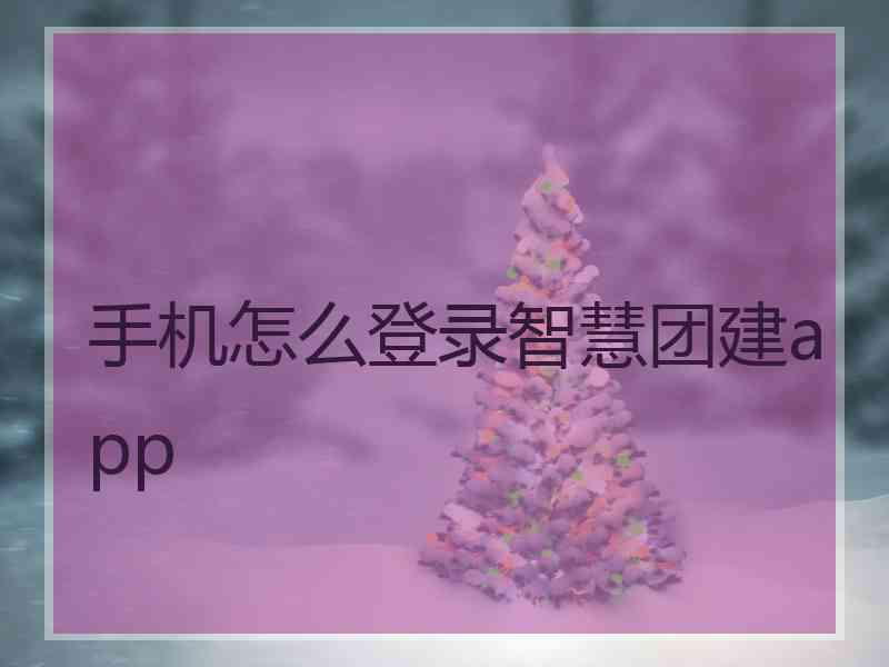 手机怎么登录智慧团建app