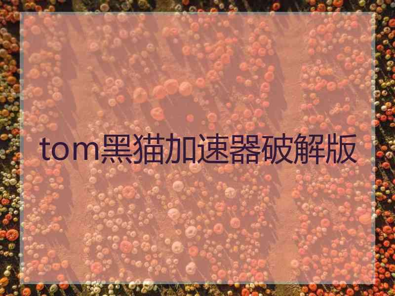 tom黑猫加速器破解版