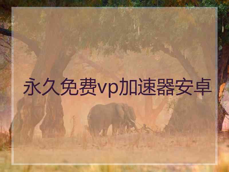 永久免费vp加速器安卓