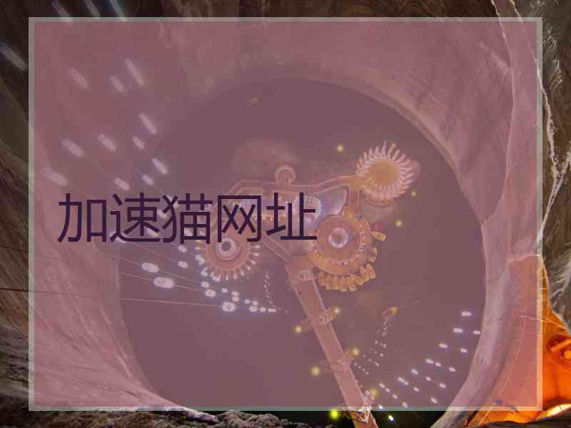 加速猫网址