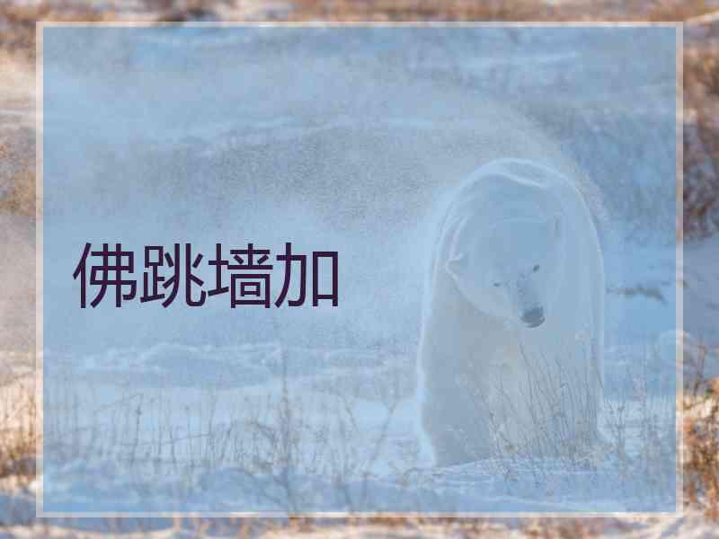 佛跳墙加