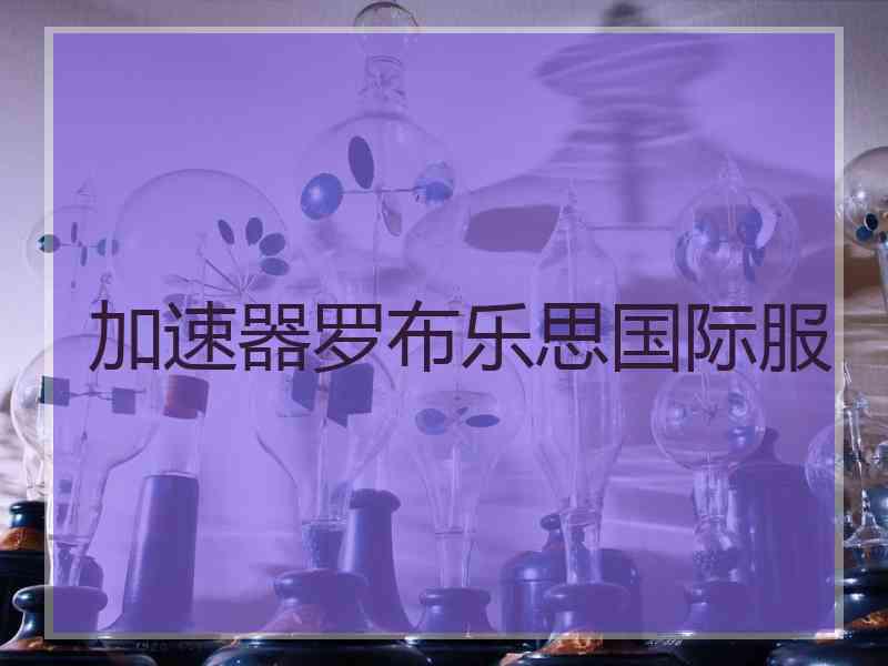 加速器罗布乐思国际服
