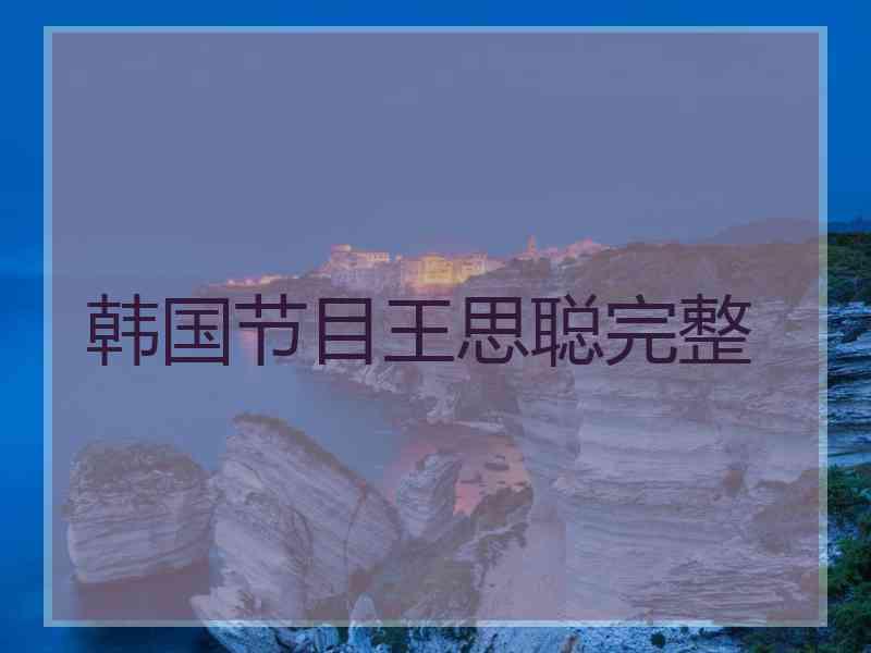 韩国节目王思聪完整