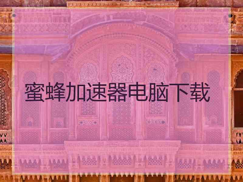 蜜蜂加速器电脑下载