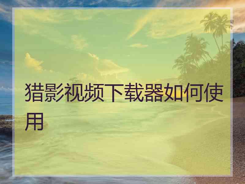 猎影视频下载器如何使用