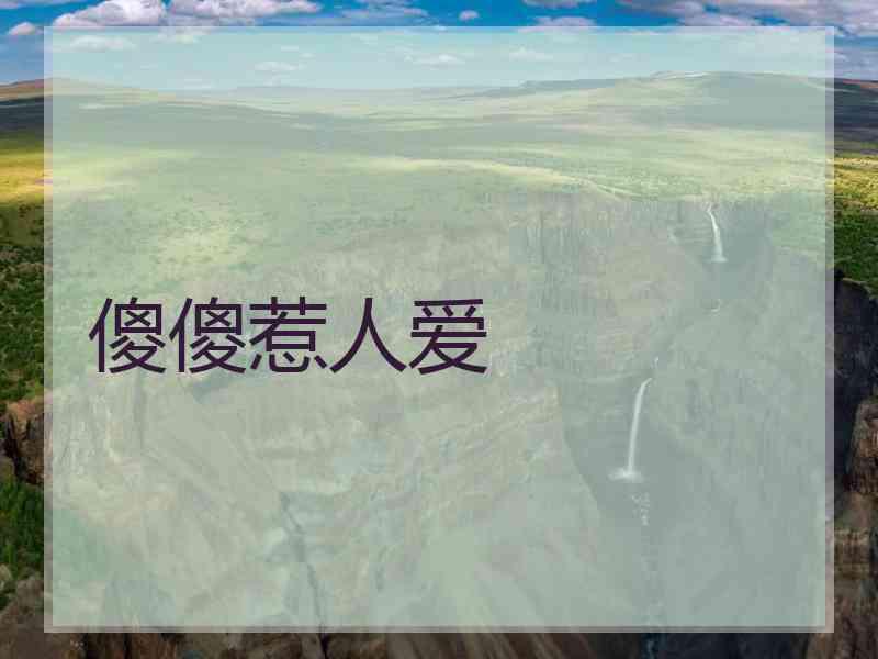 傻傻惹人爱