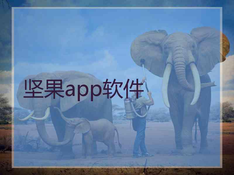坚果app软件