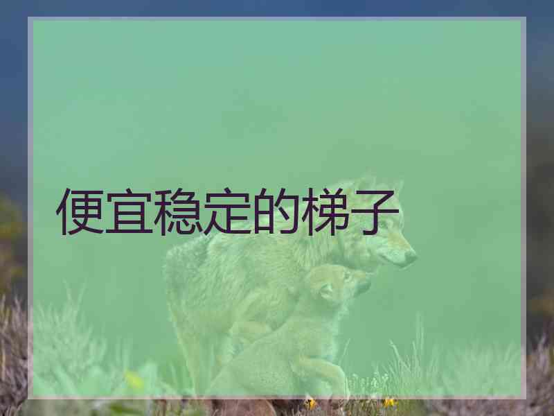 便宜稳定的梯子