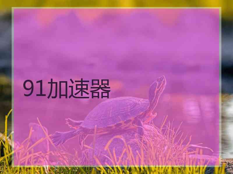 91加速器