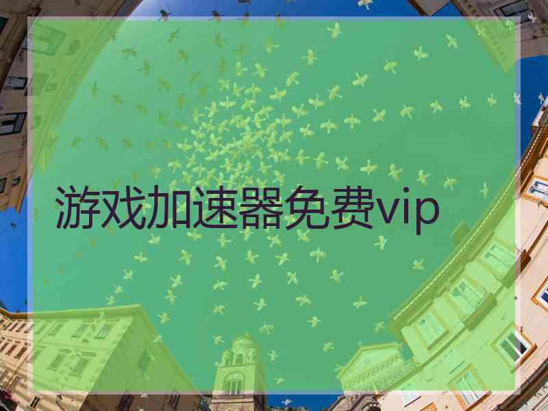 游戏加速器免费vip