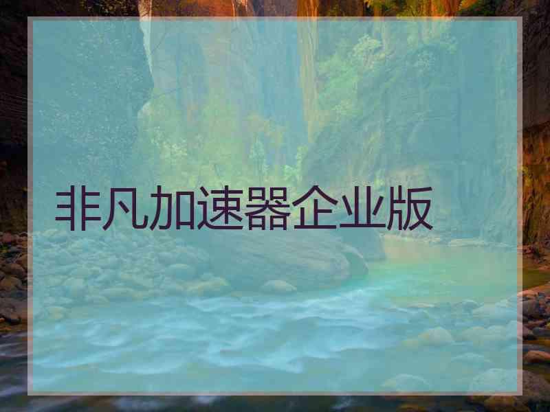 非凡加速器企业版