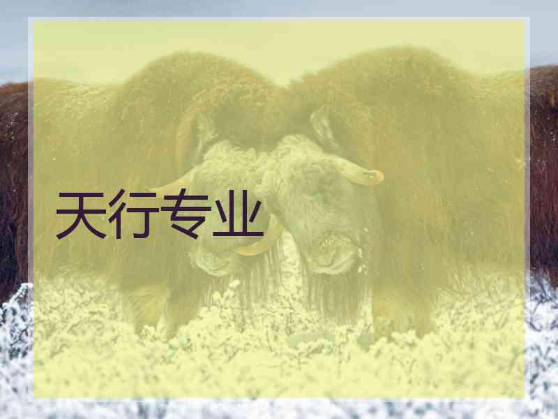 天行专业