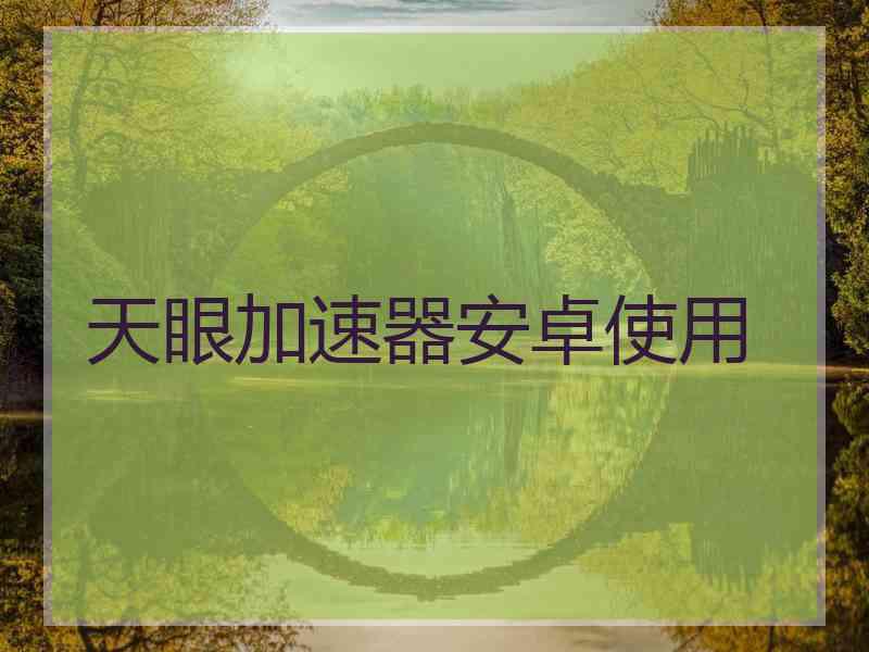 天眼加速器安卓使用