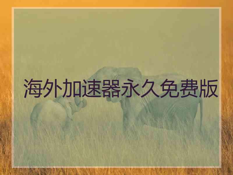 海外加速器永久免费版