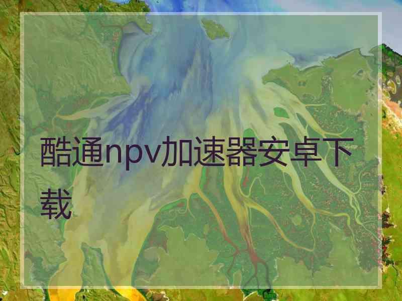 酷通npv加速器安卓下载