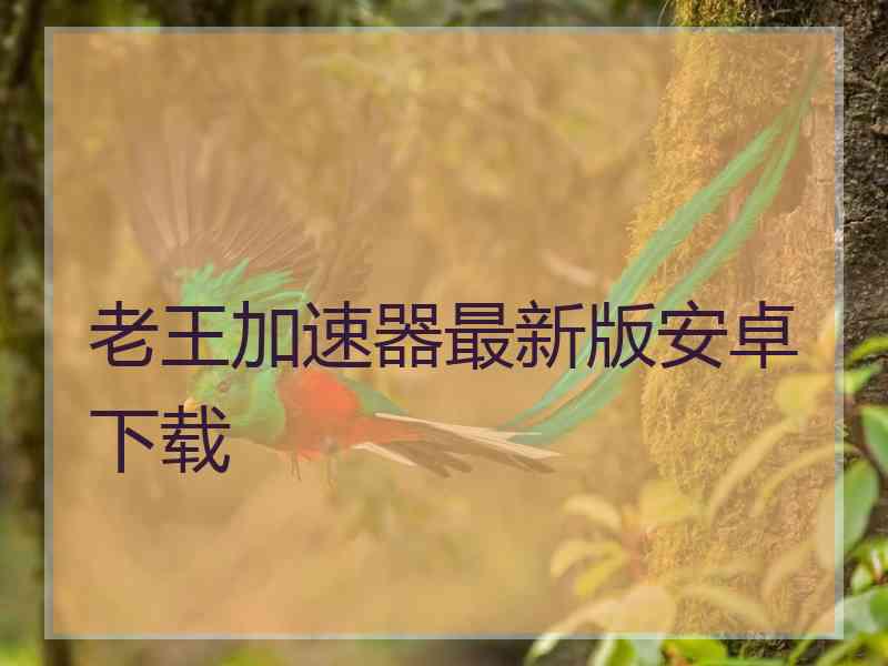 老王加速器最新版安卓下载