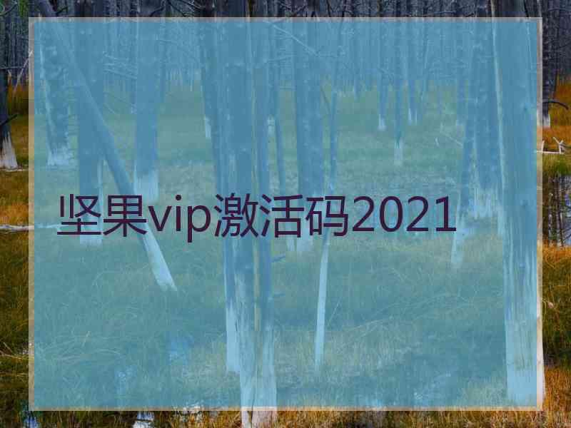 坚果vip激活码2021