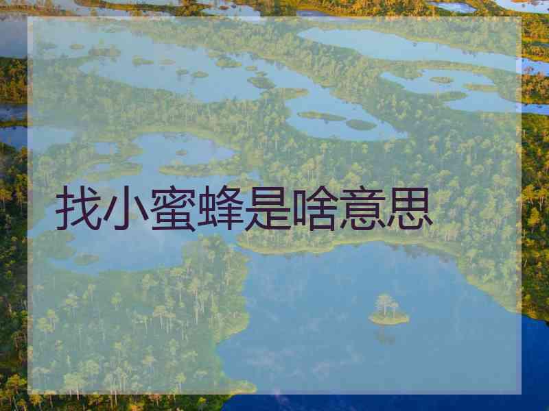 找小蜜蜂是啥意思