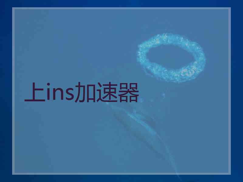 上ins加速器