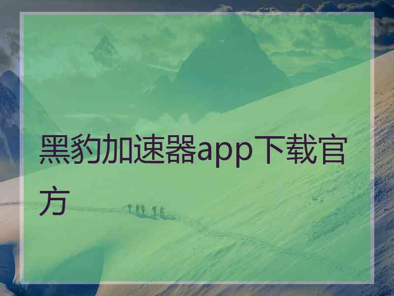 黑豹加速器app下载官方