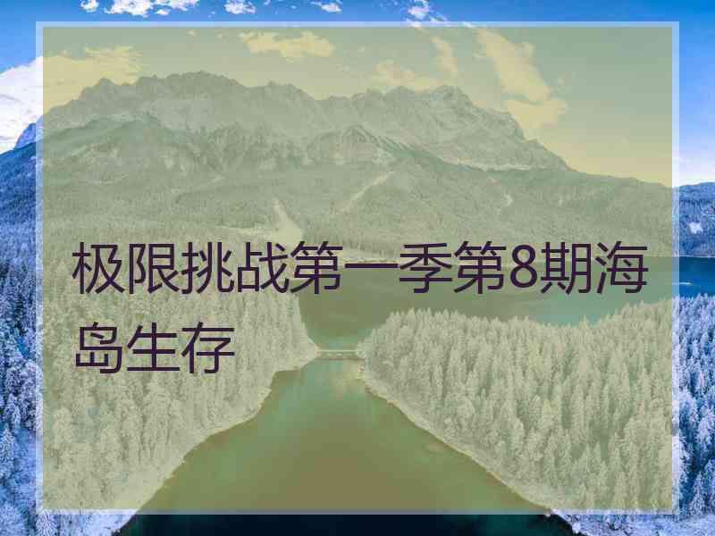 极限挑战第一季第8期海岛生存