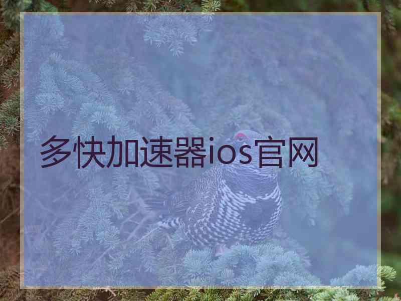 多快加速器ios官网