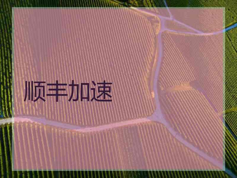 顺丰加速