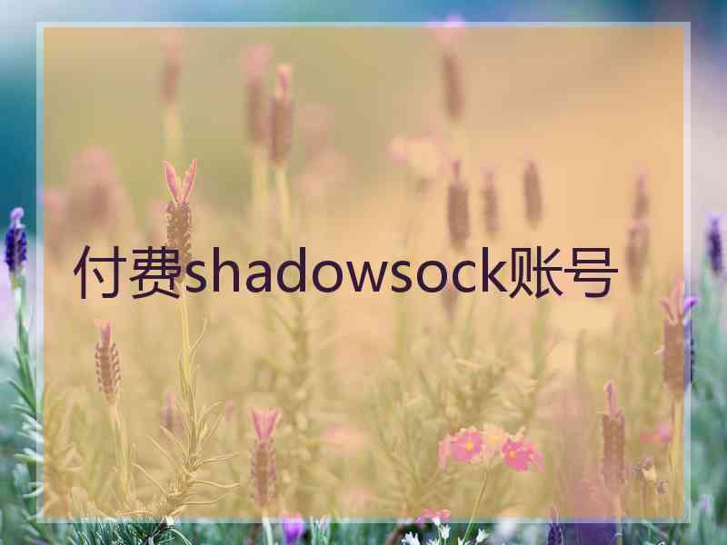 付费shadowsock账号