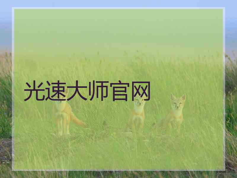 光速大师官网