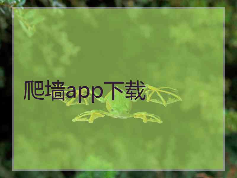 爬墙app下载