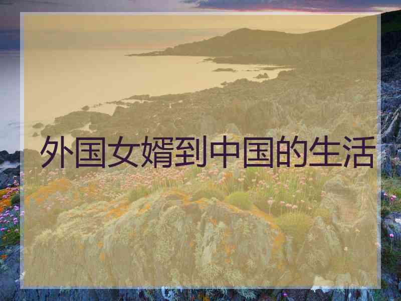 外国女婿到中国的生活