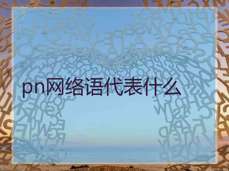pn网络语代表什么