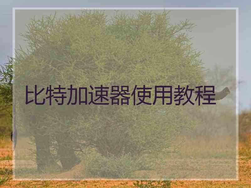 比特加速器使用教程