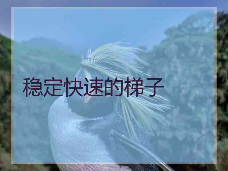 稳定快速的梯子