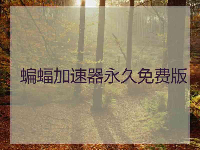 蝙蝠加速器永久免费版