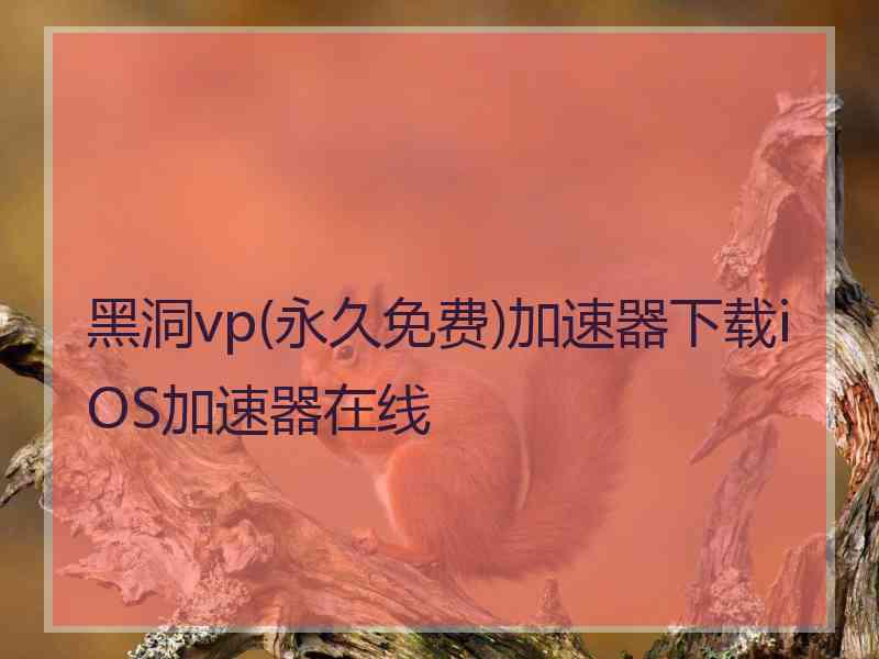 黑洞vp(永久免费)加速器下载iOS加速器在线