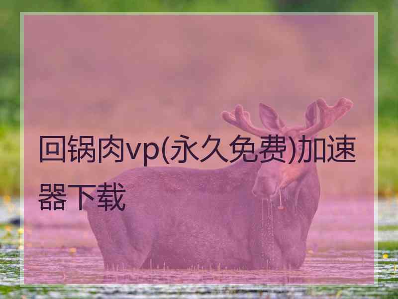 回锅肉vp(永久免费)加速器下载