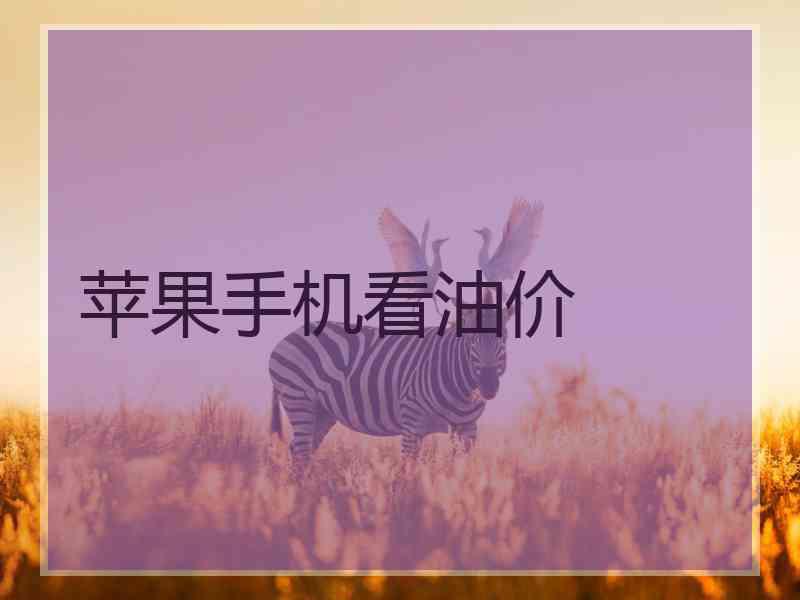 苹果手机看油价