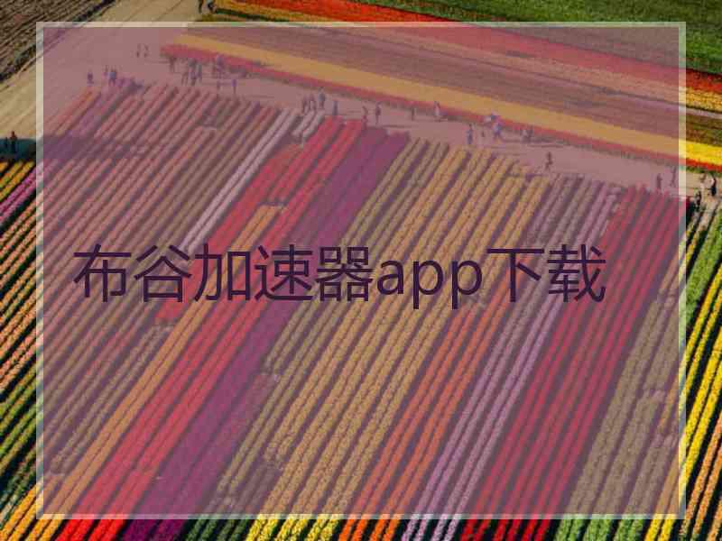 布谷加速器app下载