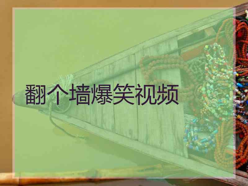 翻个墙爆笑视频