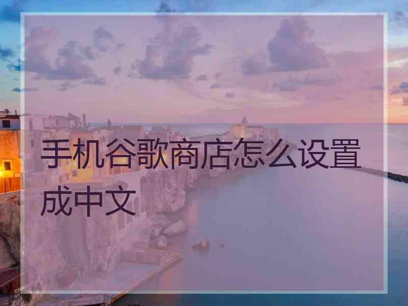 手机谷歌商店怎么设置成中文