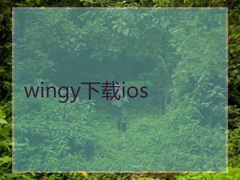 wingy下载ios