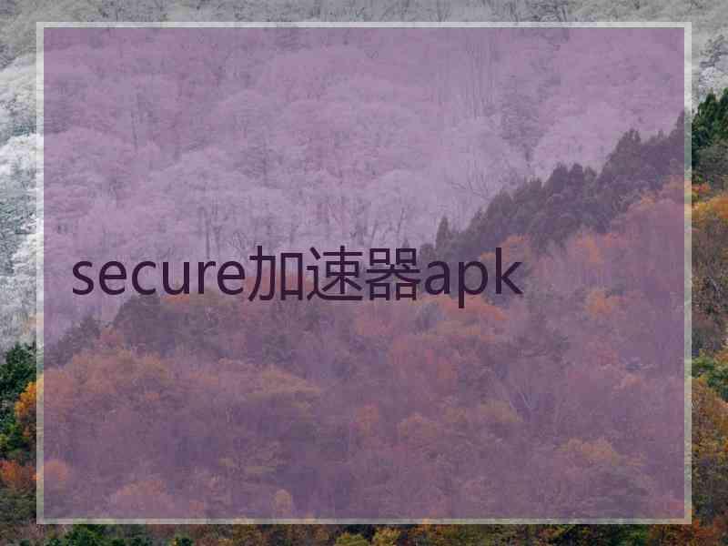 secure加速器apk