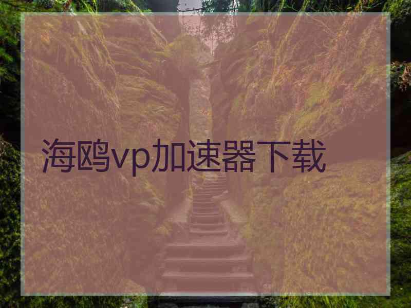 海鸥vp加速器下载