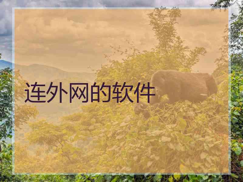 连外网的软件