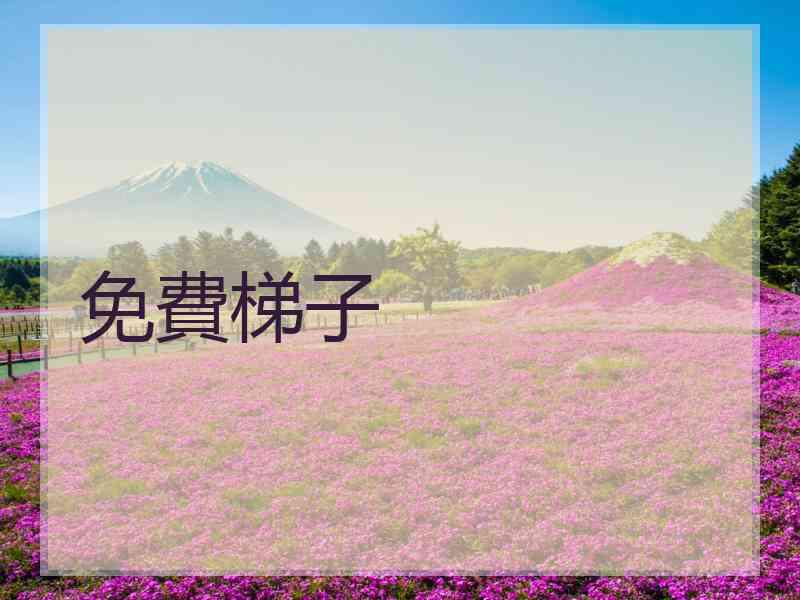 免費梯子