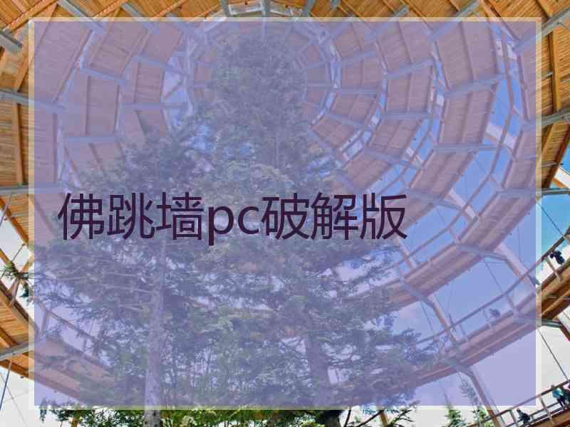 佛跳墙pc破解版