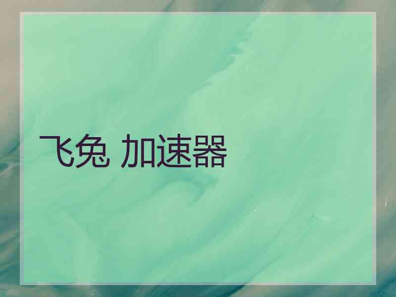 飞兔 加速器